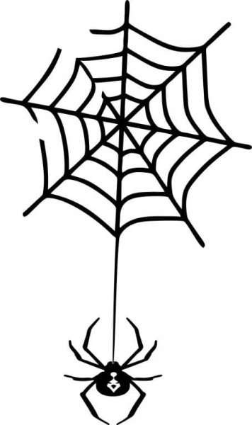 Дорисуй паутину