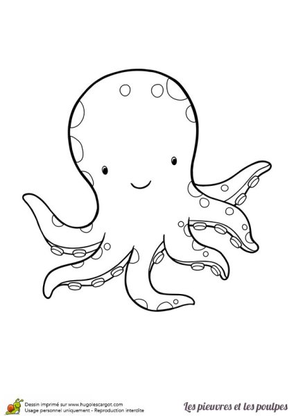 Милые Осьминожки