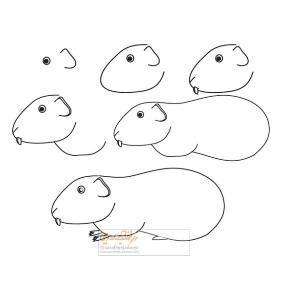 Рисовать морскую свинку