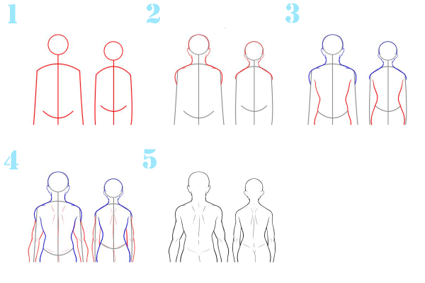 Поэтапное рисование тела