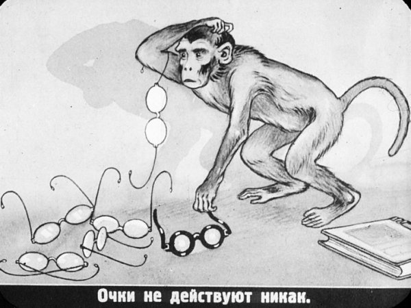 Иллюстрация к басне мартышка и очки