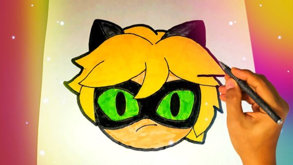 Супер кот для рисования