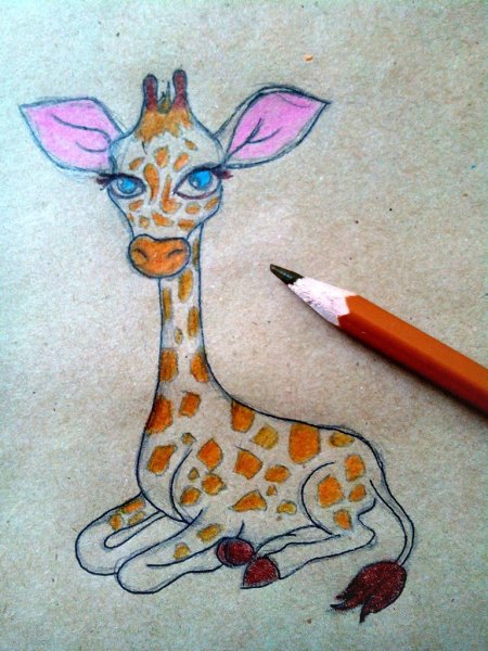 Рисунок жирафа для срисовки