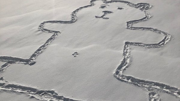 Вытоптанные фигуры на снегу