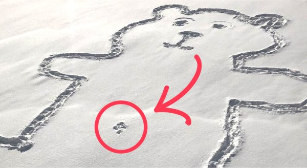 Вытоптанный снег