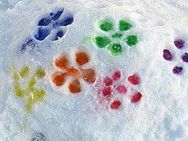 Рисование на снегу