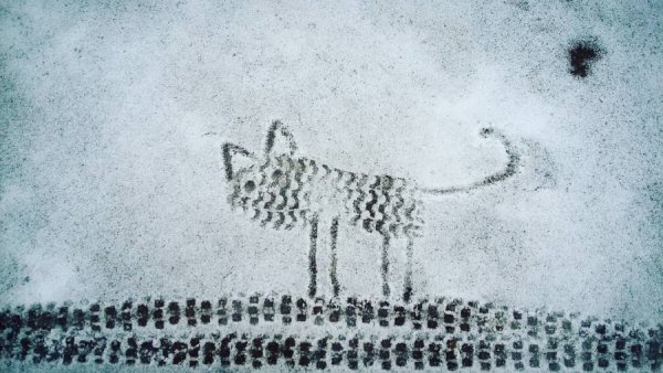 Следы на снегу рисунок