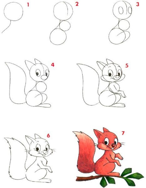Белка сбоку рисунок