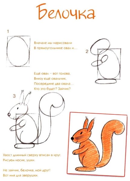 Белки для срисовки