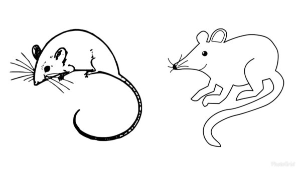 Мышь карандашом для детей