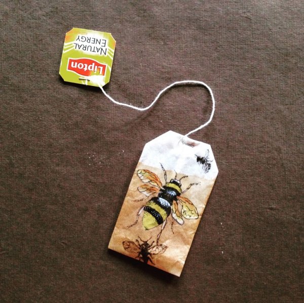 Рисунки на чайных пакетиках