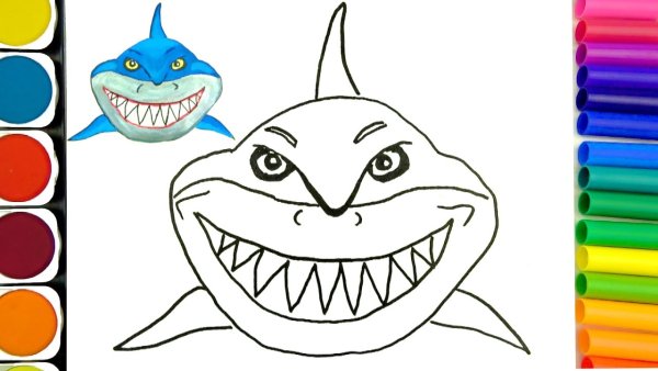 Зубастая акула раскраска для детей