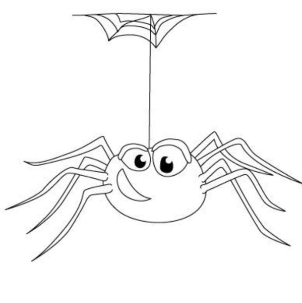 Паук раскраска для детей