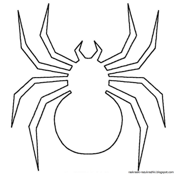 Паутина рисунок карандашом