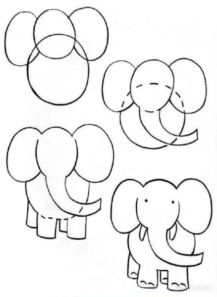Поэтапное рисование слона
