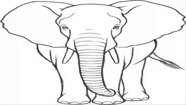 Рисунки слонов для срисовки