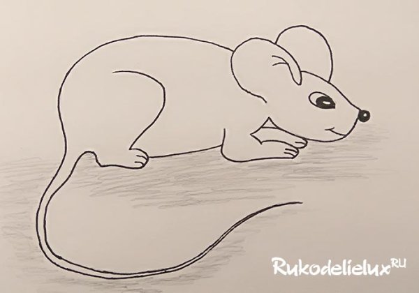 Поэтапное рисование мыши