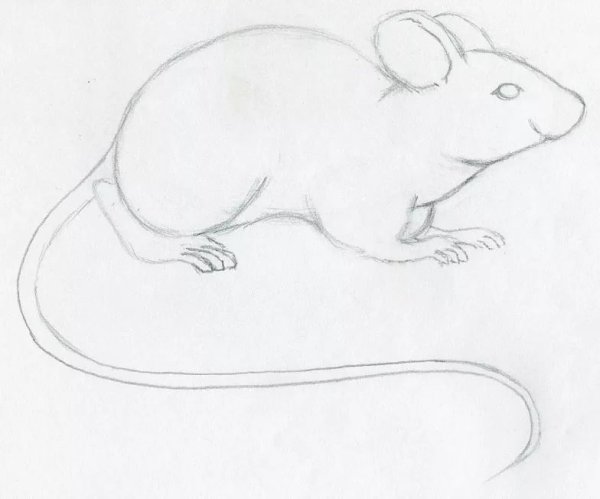 Мышка для рисования