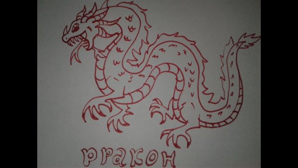 Китайский дракон изо