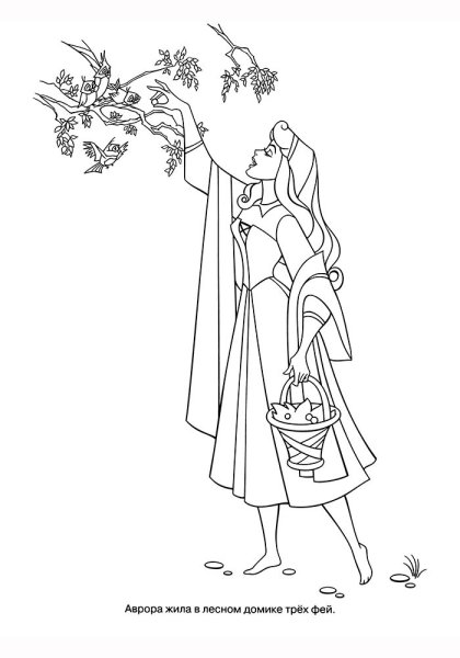 Спящая Царевна Жуковский раскраска