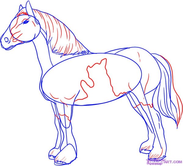 Рисунок лошади карандашом в полный рост