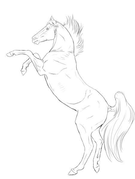 Конь набросок