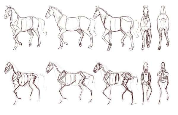 Лошадь рисунок карандашом