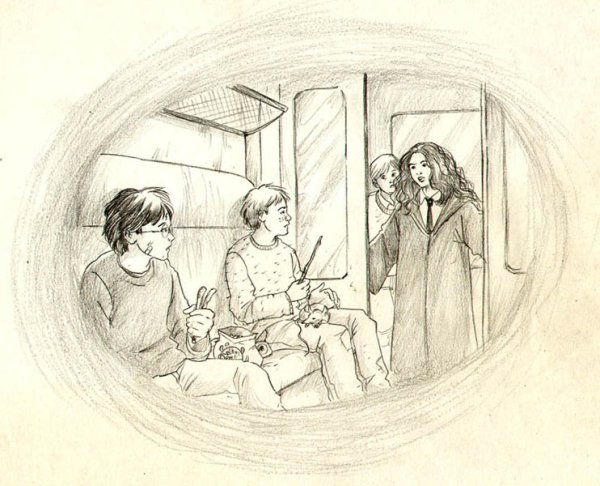 Срисовки Гарри Поттера Рона и Гермионы