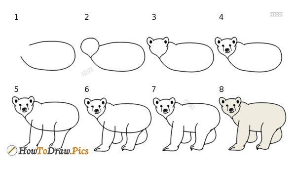 Поэтапное рисование медведя