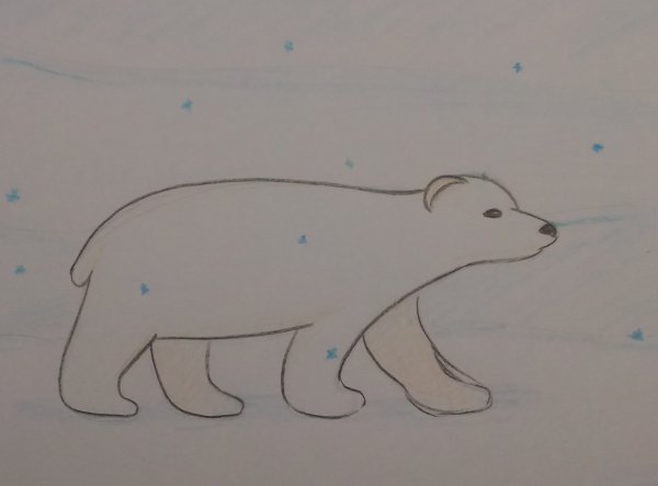 Поэтапное рисование белого медведя в старшей группе