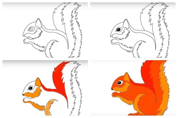 Поэтапное рисование белки