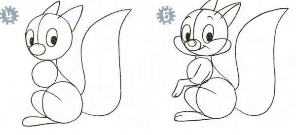 Белки для срисовки