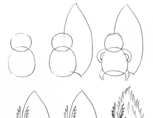 Белка поэтапное рисование