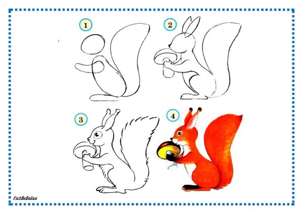 Как нарисовать белку