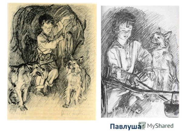 Тургенев Бежин луг Павлуша