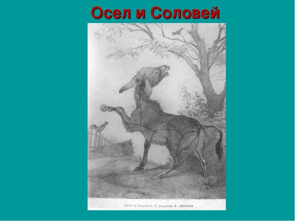 Раскраска басни Крылова осел и Соловей