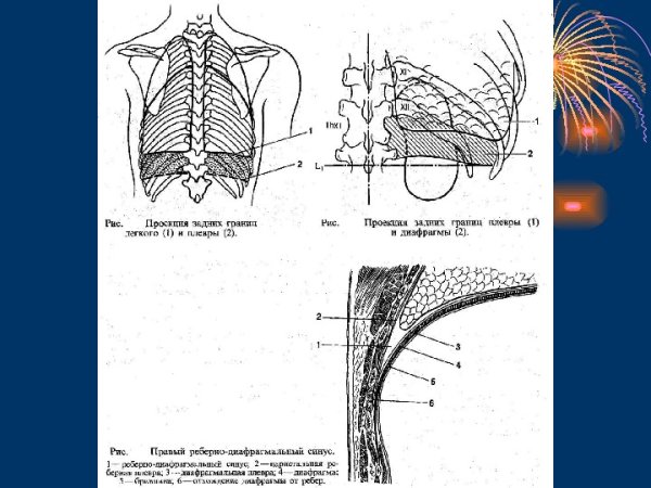 Прикорневая пневмония рентген