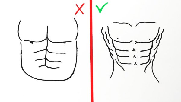 Нарисовать пресс на животе карандашом