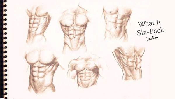 Мужской торс для рисования