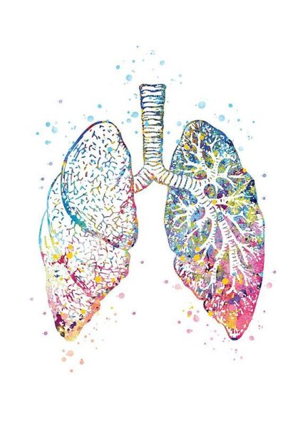 Лёгкие иллюстрации