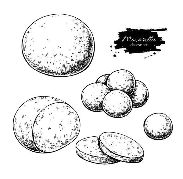 Сырники вектор