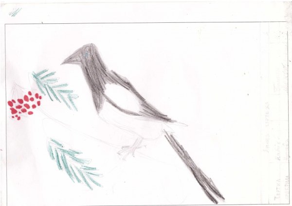 Сорока рисунок легкий