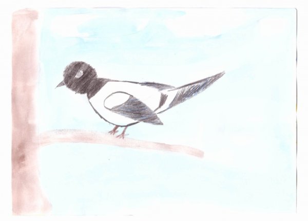 Лёгкие рисунки сороки