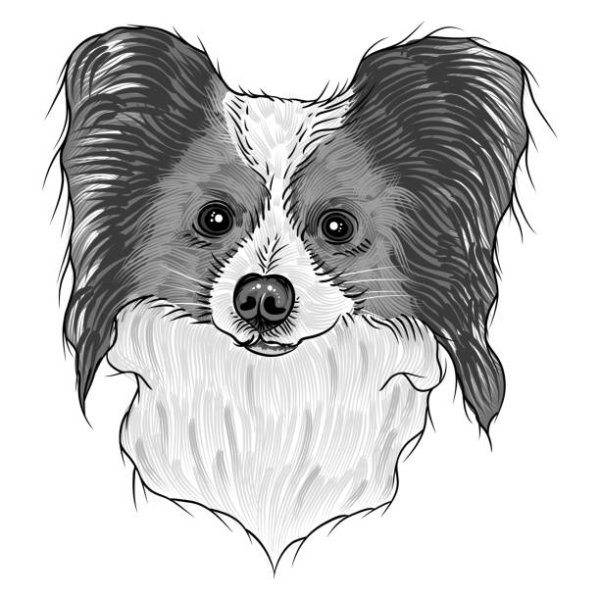 Тату Папильон