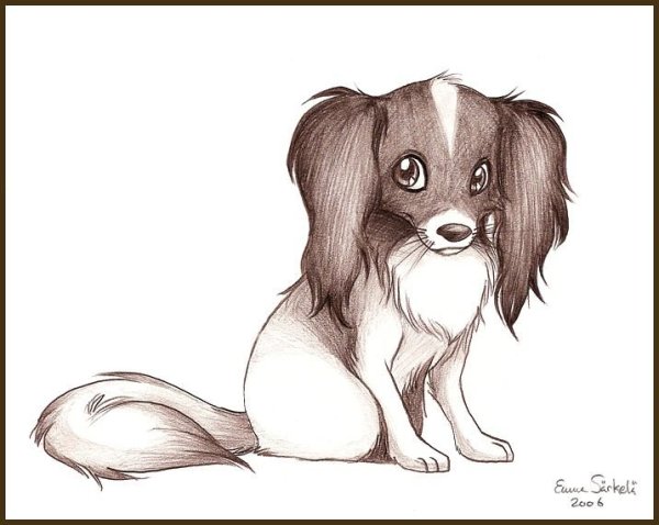 Раскраска Папильон собака