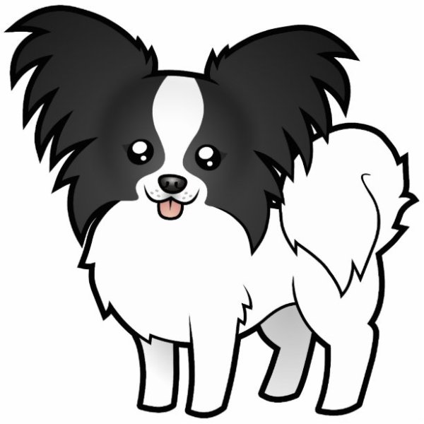 Папильон рисунок