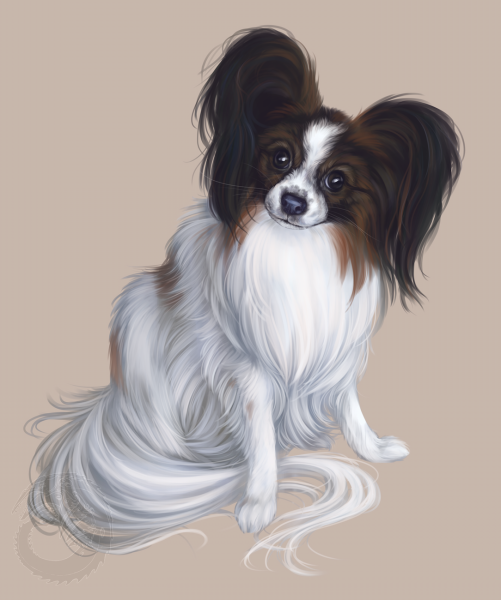 Алмазная мозаика Папильон