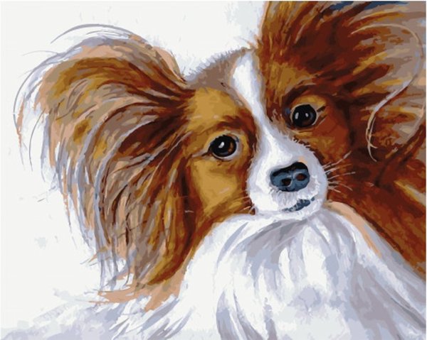 Папильон на картинах