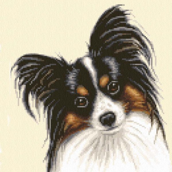 Алмазная мозаика собаки Папильон