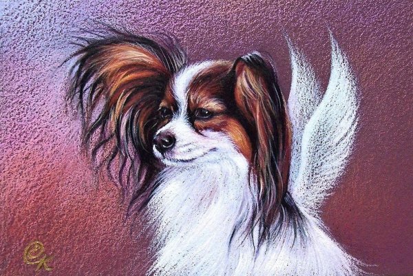 Папильон на картинах